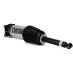 Arnott AS-3381 Air Suspension Strut - Rear - view 1