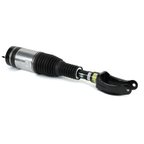 Arnott AS-3410 Air Suspension Strut - Front Right - view 1