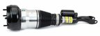 Arnott AS-3466 Air Suspension Strut - Front Left - view 4