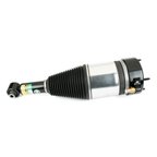 Arnott AS-3801 Air Suspension Strut - Rear Left - view 2