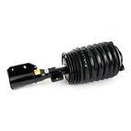 Arnott AS-3898 Air Suspension Strut - Front Right - view 4