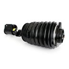 Arnott AS-3898 Air Suspension Strut - Front Right - view 1