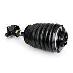 Arnott AS-3899 Air Suspension Strut - Front Left - view 1