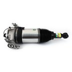 Arnott ASE-4376 Air Suspension Strut - Rear Left - view 2