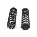 Arnott C-2175 Air Spring to Coil Spring Conversion Kit - Rear - view 4