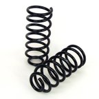 Arnott C-2224 Air Spring to Coil Spring Conversion Kit - Front and Rear - view 3