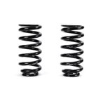 Arnott C-2896 Air Spring to Coil Spring Conversion Kit - Rear - view 3