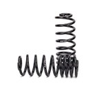 Arnott C-2987 Air Spring to Coil Spring Conversion Kit - Rear - view 2