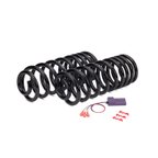 Arnott C-2987 Air Spring to Coil Spring Conversion Kit - Rear - view 1