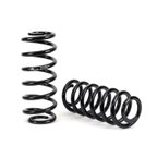 Arnott C-3697 Air Spring to Coil Spring Conversion Kit - Rear - view 2