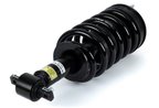 Arnott MR-3568 Suspension Strut and Coil Spring Assembly - Front - view 3
