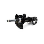 Arnott SK-2162 Shock Absorber - Front - view 2