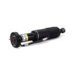 Arnott SK-2412 Suspension Strut - Front Right - view 3