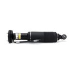 Arnott SK-2412 Suspension Strut - Front Right - view 1
