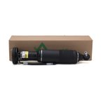 Arnott SK-2413 Suspension Strut - Front Left - view 4