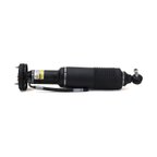 Arnott SK-2413 Suspension Strut - Front Left - view 1