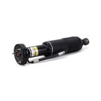 Arnott SK-2417 Suspension Strut - Front Right - view 3