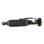 Arnott SK-2417 Suspension Strut - Front Right - view 1