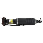 Arnott SK-2418 Suspension Strut - Front Left - view 1