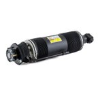 Arnott SK-2419 Suspension Strut - Rear Right - view 5