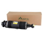 Arnott SK-2419 Suspension Strut - Rear Right - view 7