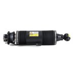Arnott SK-2419 Suspension Strut - Rear Right - view 2