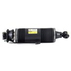 Arnott SK-2420 Suspension Strut - Rear Left - view 1