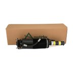 Arnott SK-2459 Suspension Strut - Front Left - view 4