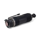 Arnott SK-2472 Suspension Strut - Rear Right - view 3