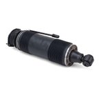 Arnott SK-2472 Suspension Strut - Rear Right - view 5