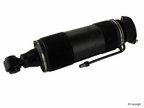 Arnott SK-2472 Suspension Strut - Rear Right - view 2