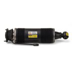 Arnott SK-2485 Suspension Strut - Rear Left - view 4