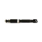 Arnott SK-2760 Shock Absorber - Front - view 2