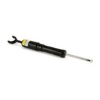 Arnott SK-2779 Shock Absorber - Front - view 2