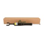 Arnott SK-2779 Shock Absorber - Front - view 4