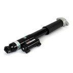Arnott SK-3389 Shock Absorber - Rear Right - view 1