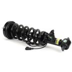 Arnott SK-3598 Suspension Strut and Coil Spring Assembly - Front Left - view 1