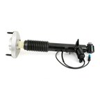 Arnott SK-3817 Suspension Shock Absorber - Rear Left - view 2