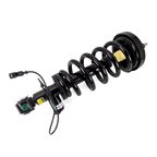 Arnott SK-4208 Suspension Strut and Coil Spring Assembly - Rear Right - view 1