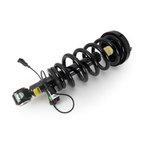 Arnott SK-4209 Suspension Strut and Coil Spring Assembly - Rear Left - view 1