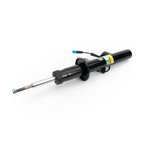 Arnott SK-5084 Suspension Strut - Front Right - view 1