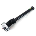 Arnott SKE-3830 Suspension Shock Absorber - Rear - view 6