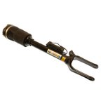 Bilstein 44-146108 Air Suspension Strut - Front - view 2