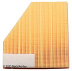 Beck Arnley 042-1983 Engine Air Filter - view 1