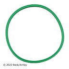 Beck Arnley 152-4010 Fuel Pump Tank Seal - view 1