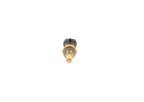 Bosch 0281002209 Engine Coolant Temperature Sensor - view 2