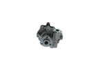 Bosch KS02000027 Power Steering Pump - view 1