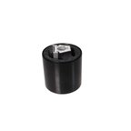 Rein AVB0449 Suspension Control Arm Bushing - Front Lower Inner Forward - view 3