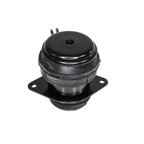 Rein AVE0009R Engine Mount - Rear Right - view 1