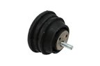 Rein AVE0305 Engine Mount - view 5
